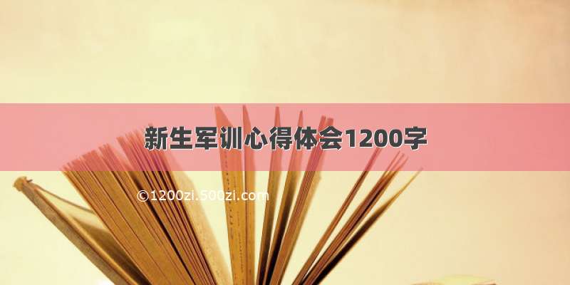 新生军训心得体会1200字