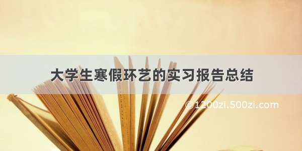 大学生寒假环艺的实习报告总结