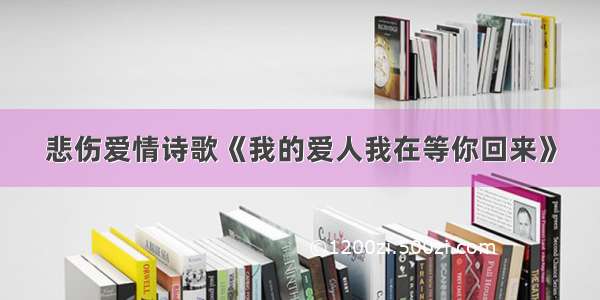 悲伤爱情诗歌《我的爱人我在等你回来》