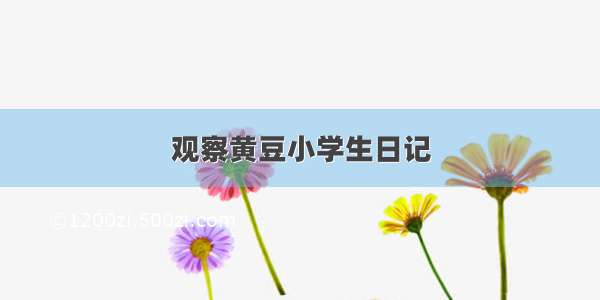 观察黄豆小学生日记