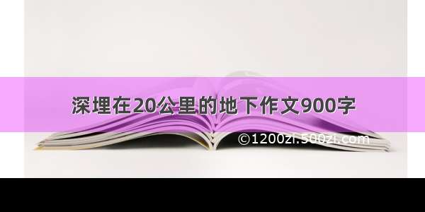 深埋在20公里的地下作文900字