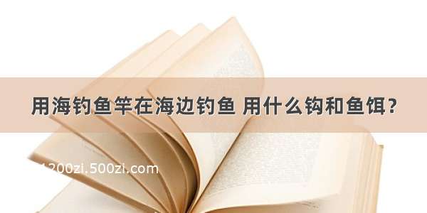 用海钓鱼竿在海边钓鱼 用什么钩和鱼饵？