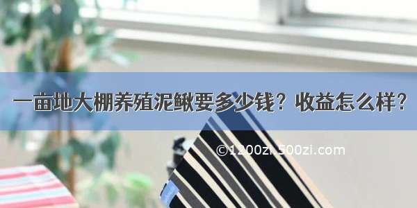 一亩地大棚养殖泥鳅要多少钱？收益怎么样？