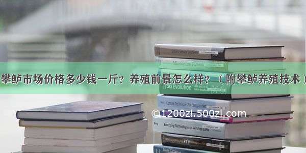 攀鲈市场价格多少钱一斤？养殖前景怎么样？（附攀鲈养殖技术）