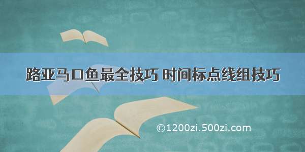 路亚马口鱼最全技巧 时间标点线组技巧