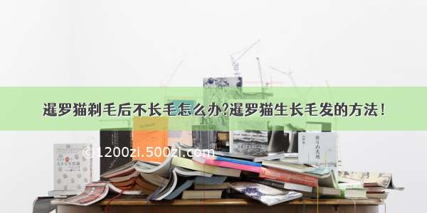 暹罗猫剃毛后不长毛怎么办?暹罗猫生长毛发的方法！