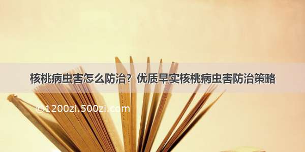 核桃病虫害怎么防治？优质早实核桃病虫害防治策略