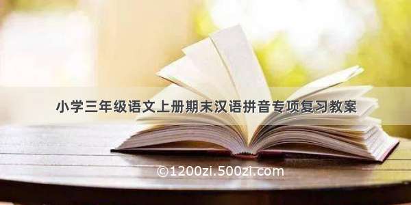 小学三年级语文上册期末汉语拼音专项复习教案