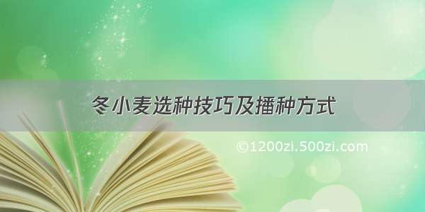 冬小麦选种技巧及播种方式