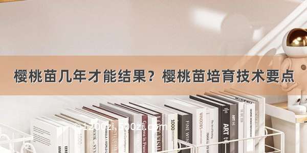 樱桃苗几年才能结果？樱桃苗培育技术要点