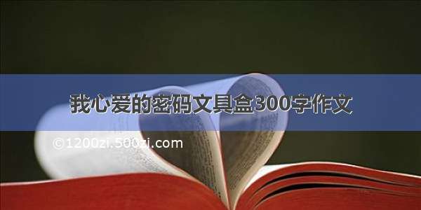 我心爱的密码文具盒300字作文