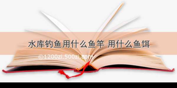 水库钓鱼用什么鱼竿 用什么鱼饵