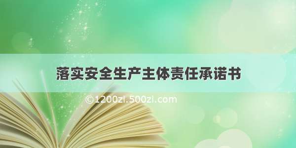 落实安全生产主体责任承诺书