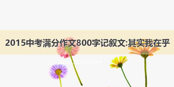 2015中考满分作文800字记叙文:其实我在乎