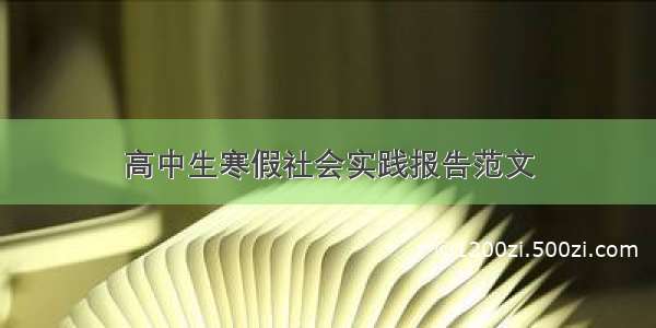 高中生寒假社会实践报告范文