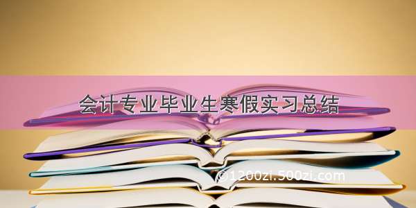 会计专业毕业生寒假实习总结