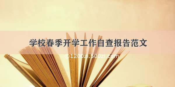 学校春季开学工作自查报告范文