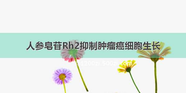 人参皂苷Rh2抑制肿瘤癌细胞生长