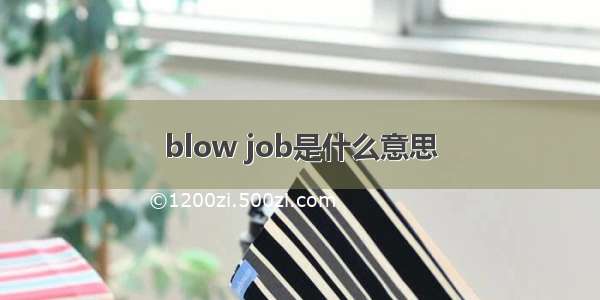 blow job是什么意思