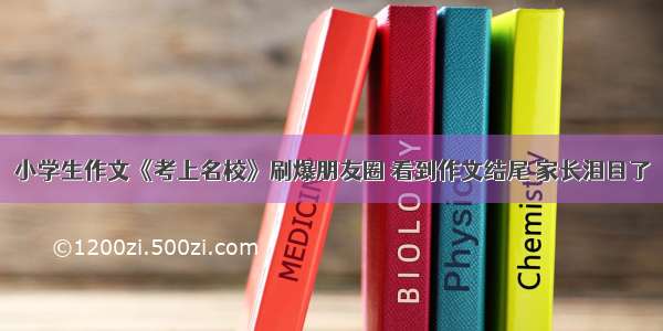 小学生作文《考上名校》刷爆朋友圈 看到作文结尾 家长泪目了