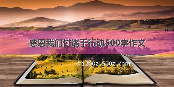 感恩我们付诸于行动500字作文