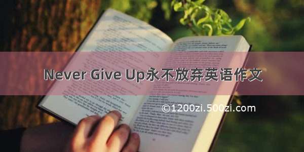 Never Give Up永不放弃英语作文
