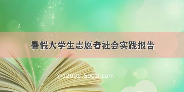 暑假大学生志愿者社会实践报告