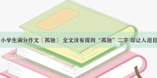 小学生满分作文《孤独》 全文没有提到“孤独”二字 却让人泪目