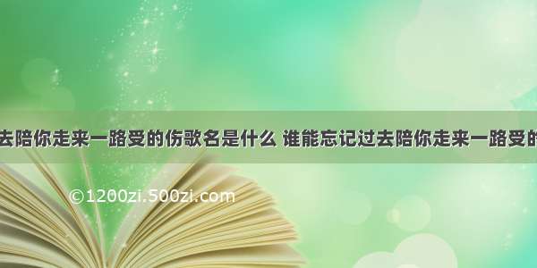 谁能忘记过去陪你走来一路受的伤歌名是什么 谁能忘记过去陪你走来一路受的伤是谁的歌