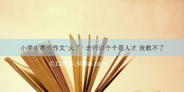 小学生寒假作文“火了” 老师说个个是人才 我教不了