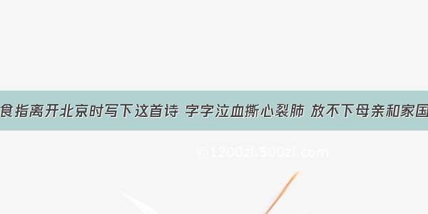 食指离开北京时写下这首诗 字字泣血撕心裂肺 放不下母亲和家国