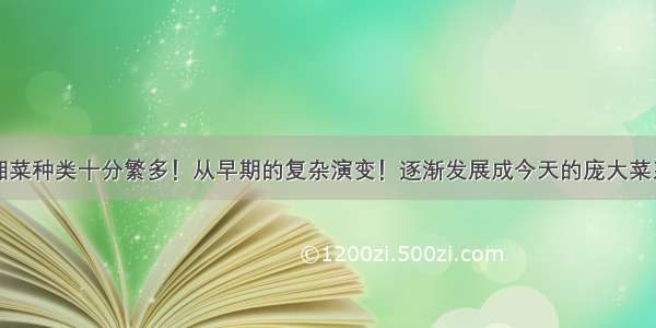 湘菜种类十分繁多！从早期的复杂演变！逐渐发展成今天的庞大菜系