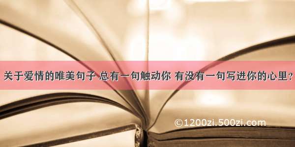 关于爱情的唯美句子 总有一句触动你 有没有一句写进你的心里？