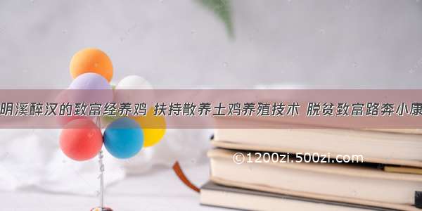 明溪醉汉的致富经养鸡 扶持散养土鸡养殖技术 脱贫致富路奔小康