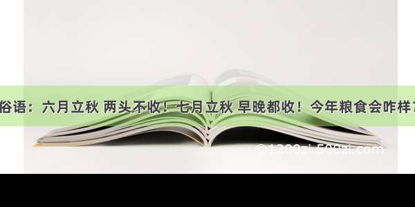 俗语：六月立秋 两头不收！七月立秋 早晚都收！今年粮食会咋样？