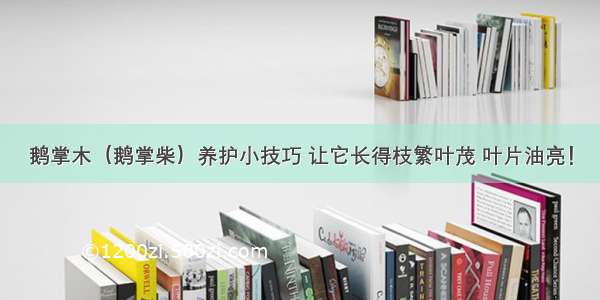 鹅掌木（鹅掌柴）养护小技巧 让它长得枝繁叶茂 叶片油亮！