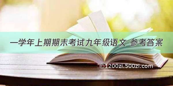 —学年上期期末考试九年级语文 参考答案