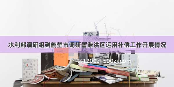 水利部调研组到鹤壁市调研蓄滞洪区运用补偿工作开展情况