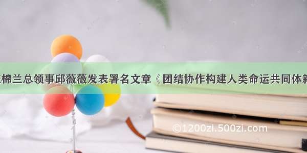 中国驻棉兰总领事邱薇薇发表署名文章《团结协作构建人类命运共同体新篇章》