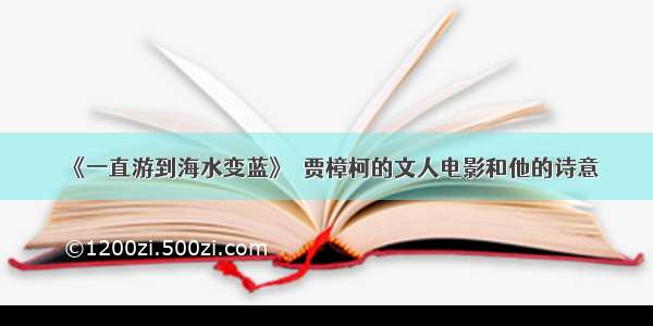 《一直游到海水变蓝》｜贾樟柯的文人电影和他的诗意