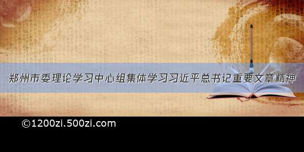 郑州市委理论学习中心组集体学习习近平总书记重要文章精神