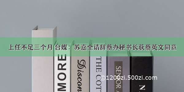 上任不足三个月 台媒：苏嘉全请辞蔡办秘书长获蔡英文同意