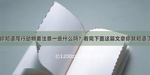 你知道爬行动物要注意一些什么吗？看完下面这篇文章你就知道了