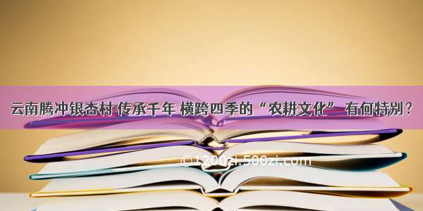 云南腾冲银杏村 传承千年 横跨四季的“农耕文化” 有何特别？