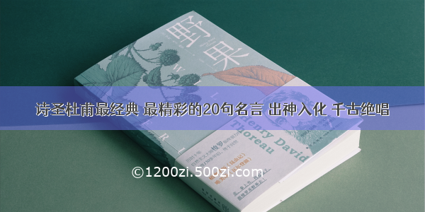 诗圣杜甫最经典 最精彩的20句名言 出神入化 千古绝唱