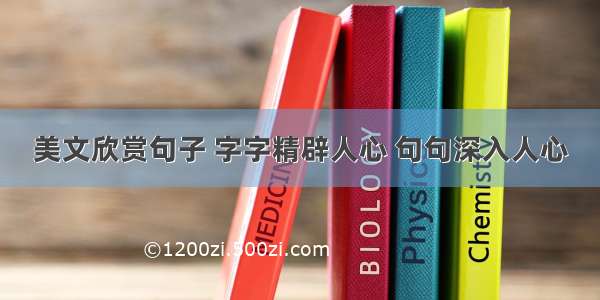 美文欣赏句子 字字精辟人心 句句深入人心