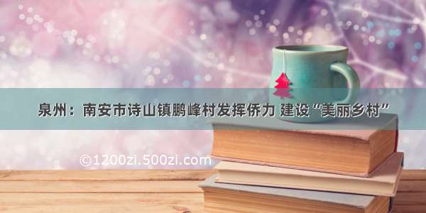 泉州：南安市诗山镇鹏峰村发挥侨力 建设“美丽乡村”