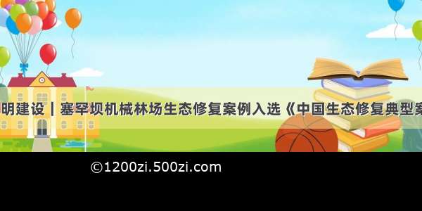 生态文明建设｜塞罕坝机械林场生态修复案例入选《中国生态修复典型案例集》