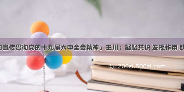 「深入学习宣传贯彻党的十九届六中全会精神」王川：凝聚共识 发挥作用 助推合浦经济