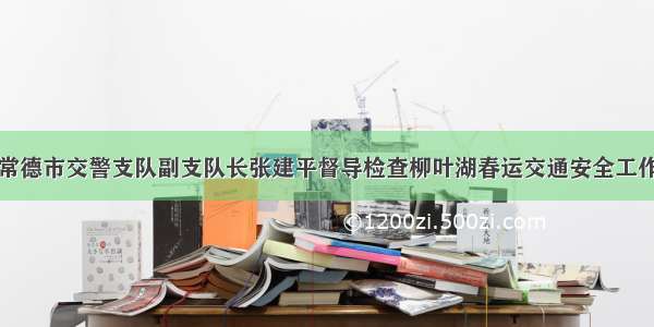 常德市交警支队副支队长张建平督导检查柳叶湖春运交通安全工作